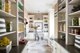 Pantry Interior Designs