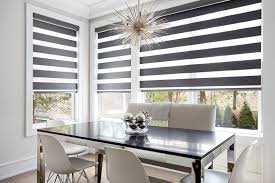 Zebra Window Blinds