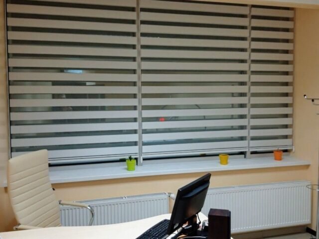 Modern Window Blinds