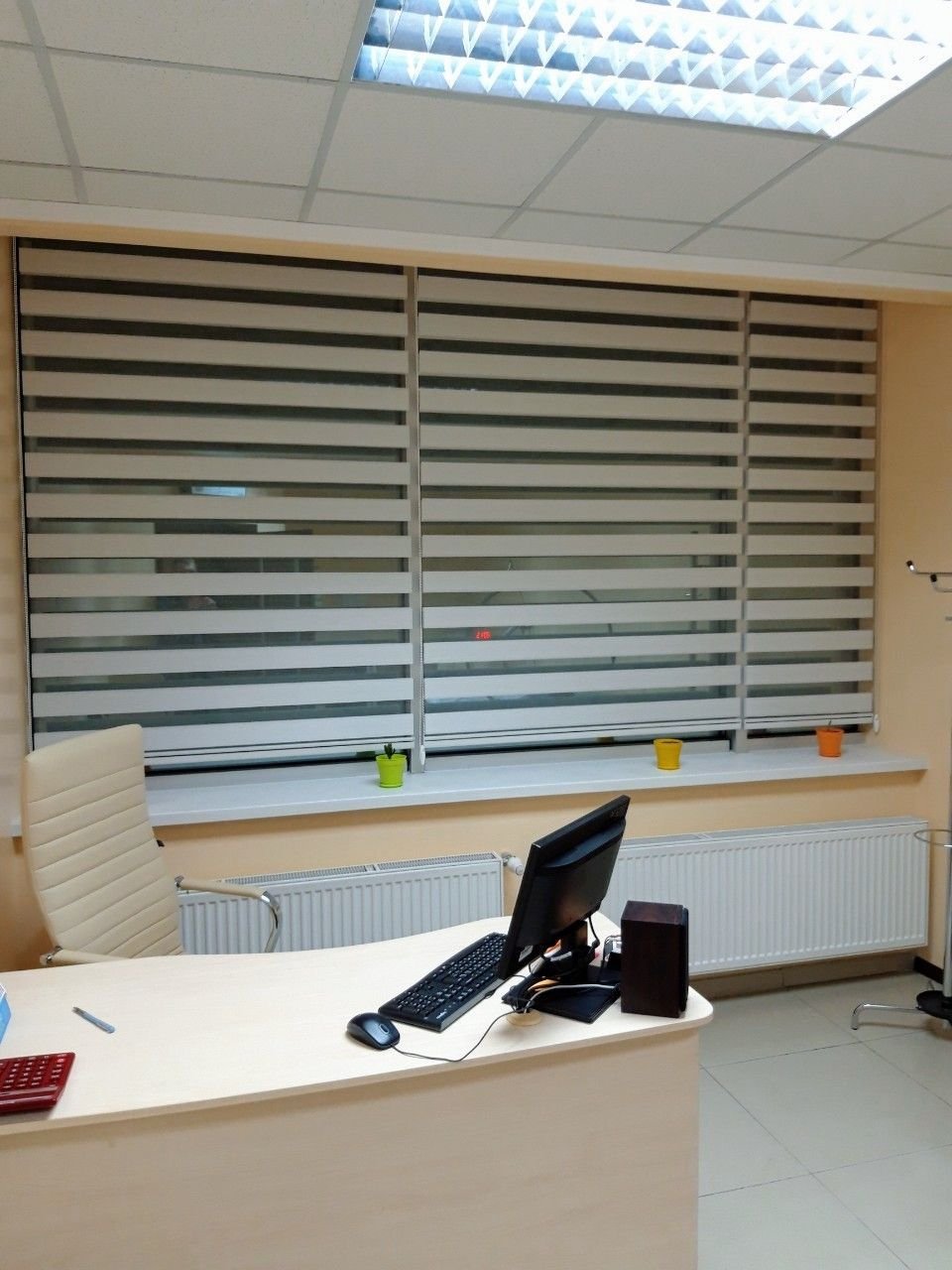 Modern Window Blinds