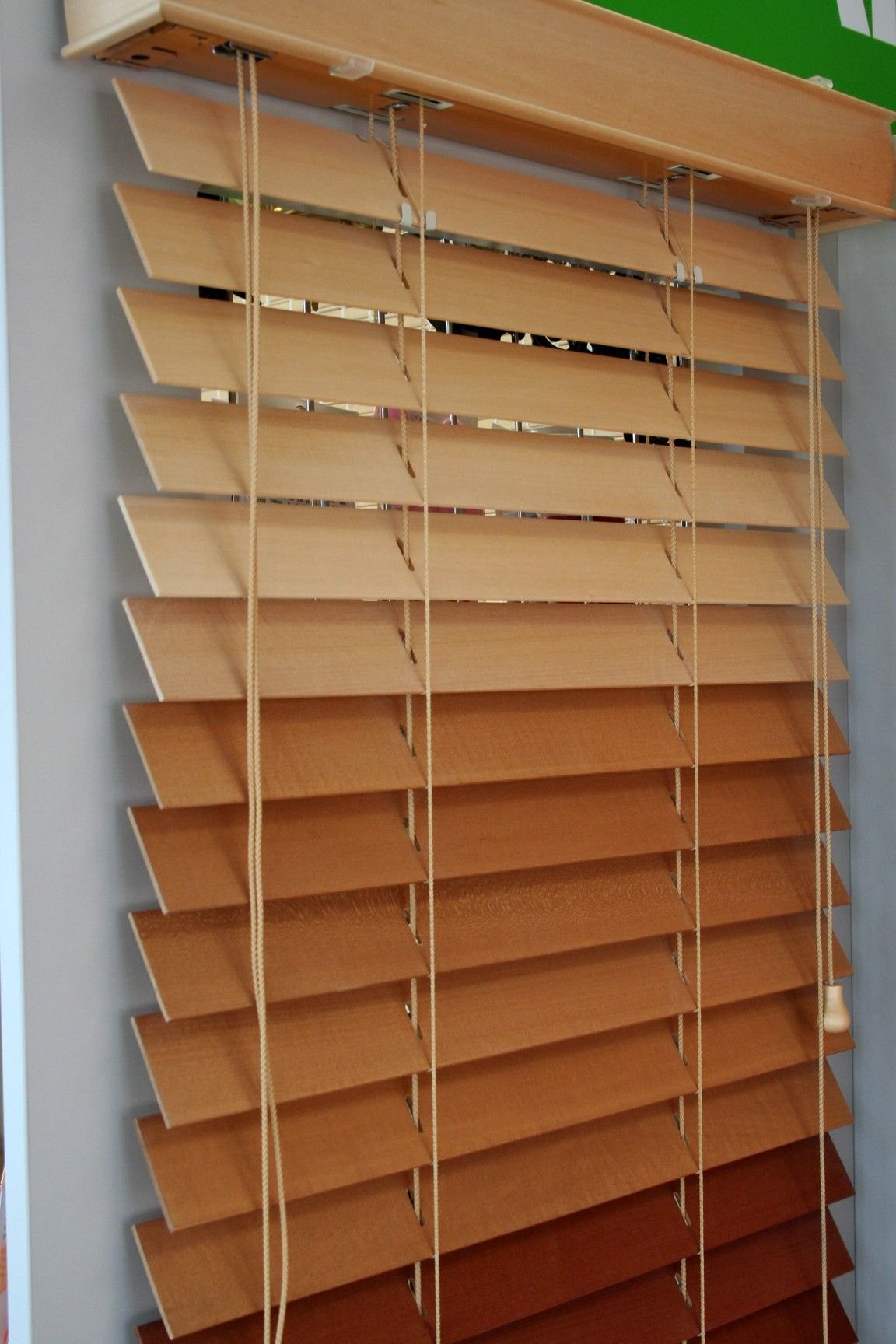 Panel Window Blinds1