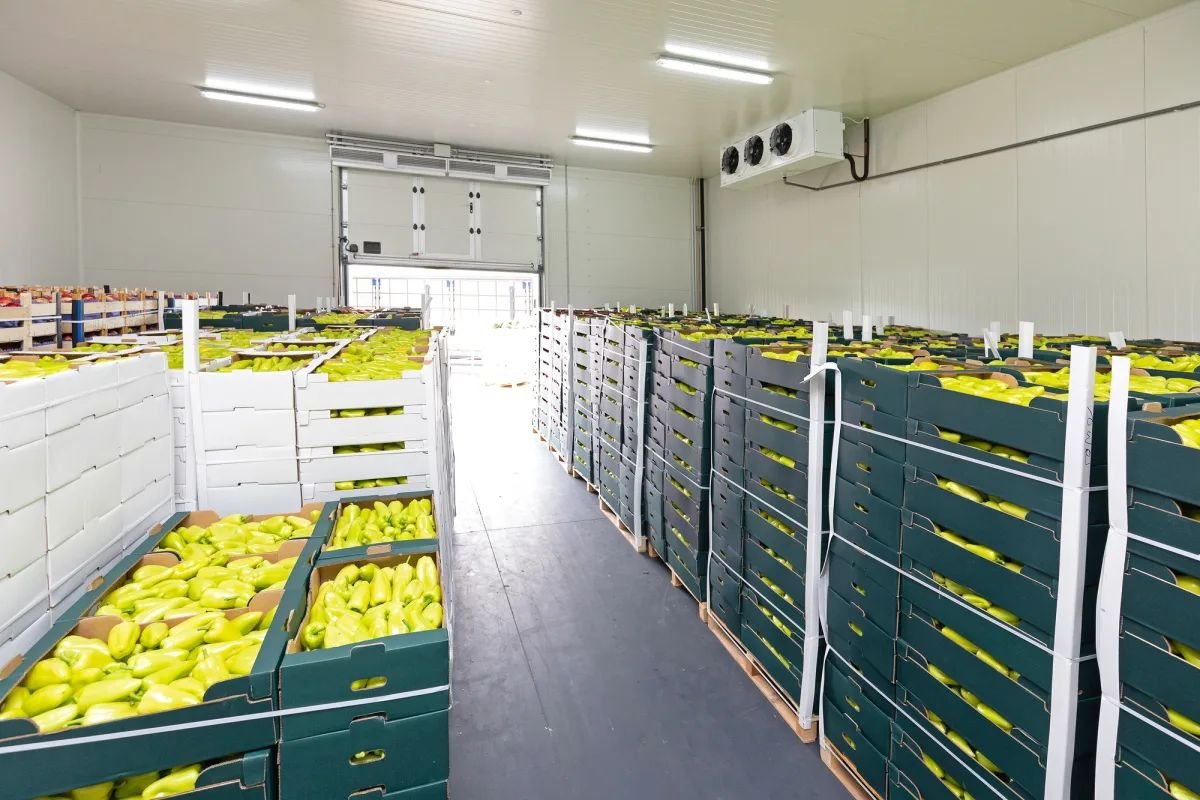 Fruits Cold Storage Room2