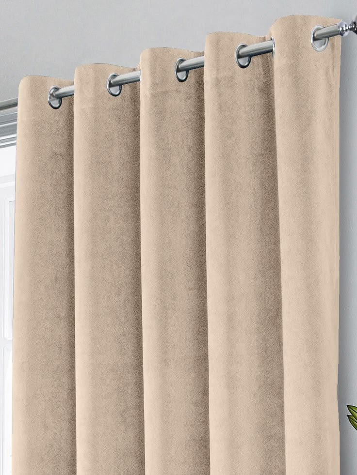 Standard curtains Cream in Colour