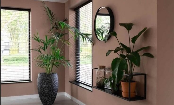 terracotta and earth tones for home interior design