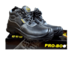 Pro boot Safety Boot Price